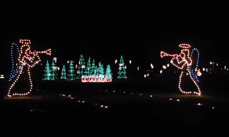 Get into the holiday spirit at Lights of the Delta