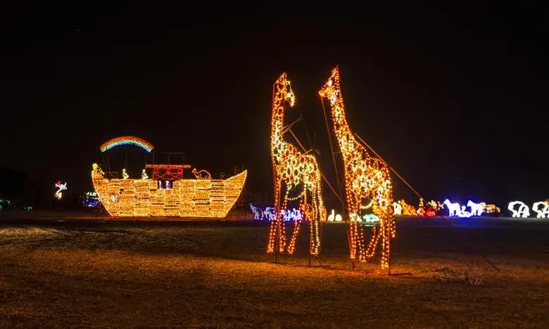 Lights of the Delta