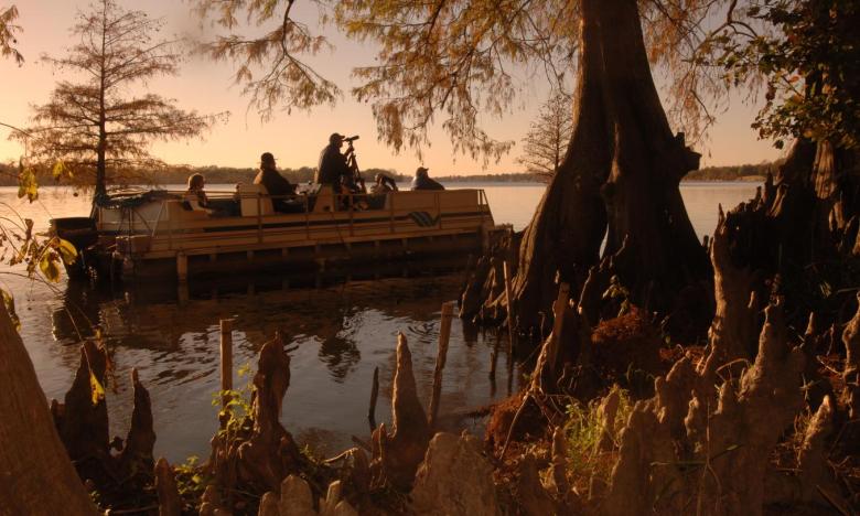 take a birdwatching tour at Lake Chicot State Park in Lake Village