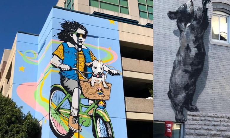 Downtown Fayetteville murals