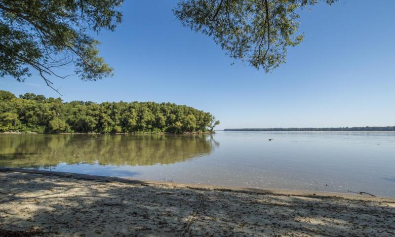 The St. Francis and Mississippi rivers "meet" on the St. Francis National Forest