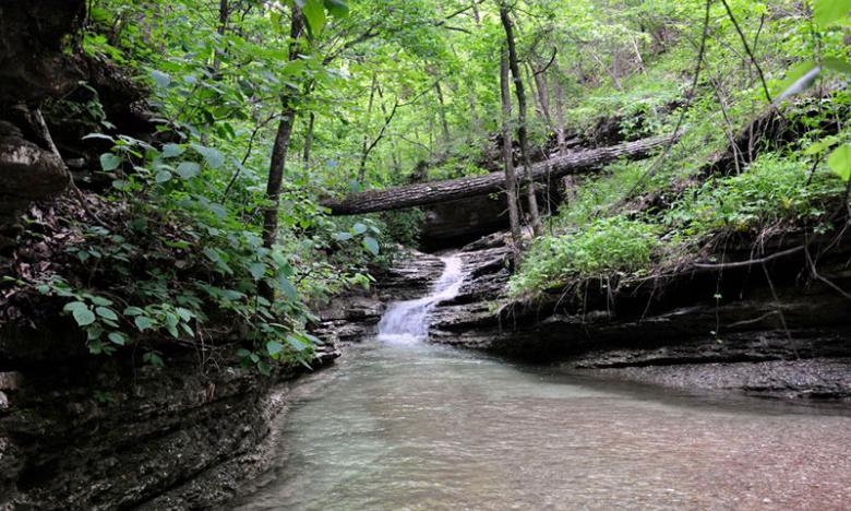 Devil's Eyebrow Natural Area