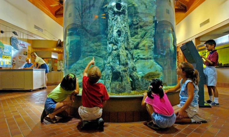 Lake Dardanelle Visitor Center Aquarium