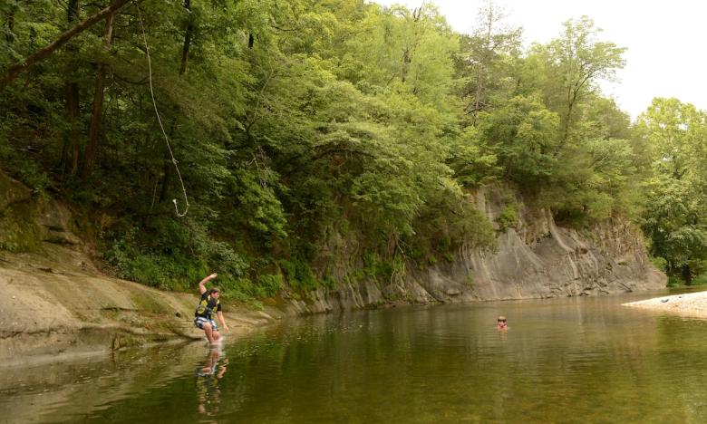 Go for a swim in Sylamore Creek.
