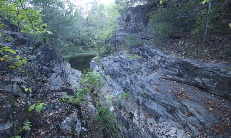 Hall’s Creek Canyon is an Arkansas Natural Heritage Area.