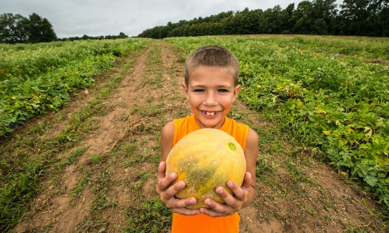 The rich, sandy soil that surrounds Cave City produces the sweet flavor of their watermelons.