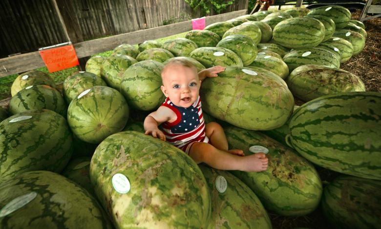 The annual Cave City Watermelon Festival is a taste worth the trip.