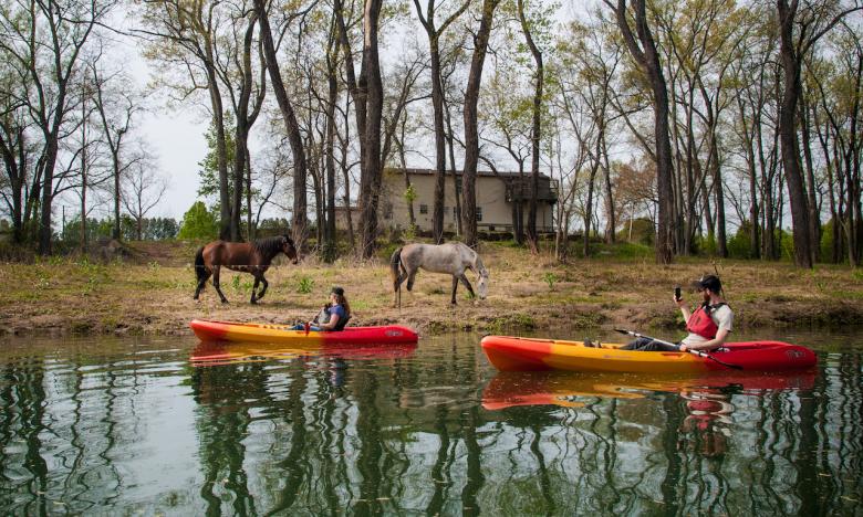 The Ozark Gateway welcome wagon comes in many forms.