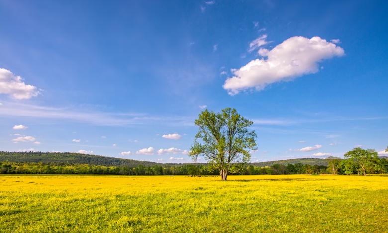 There’s a peaceful serenity here.