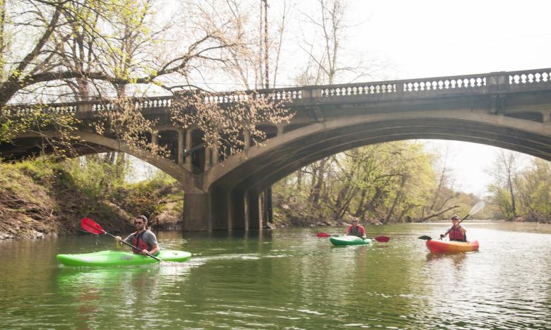 Kayak the serene Polk Bayou.