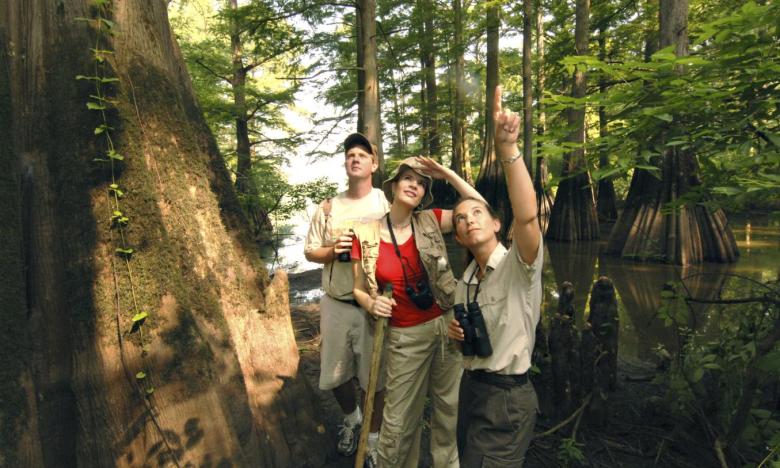 Birding is a popular activity at the Dale Bumpers White River National Wildlife Refuge in St. Charles