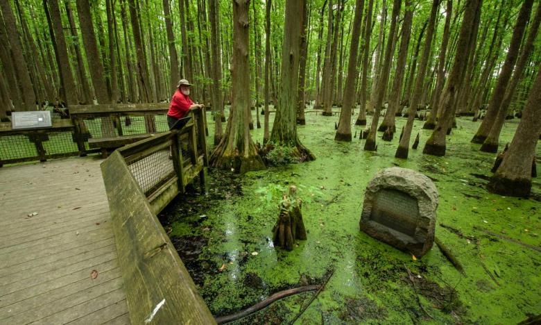 A boardwalk leads to the monument that designates the initial point of the survey of the Louisiana Purchase
