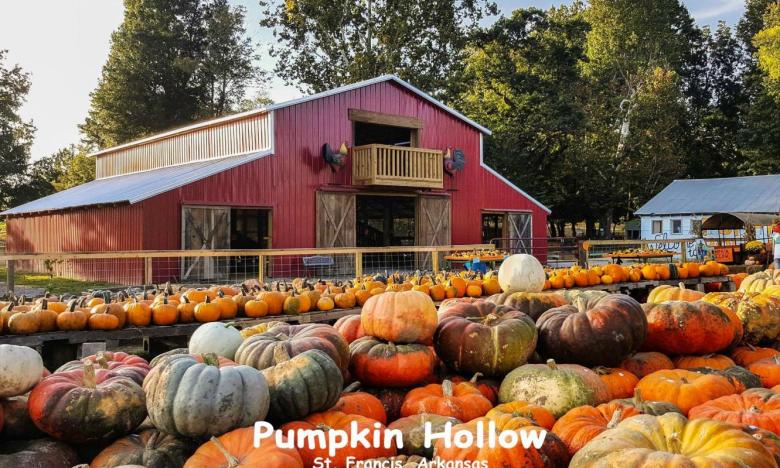 Fall fun awaits at Pumpkin Hollow
