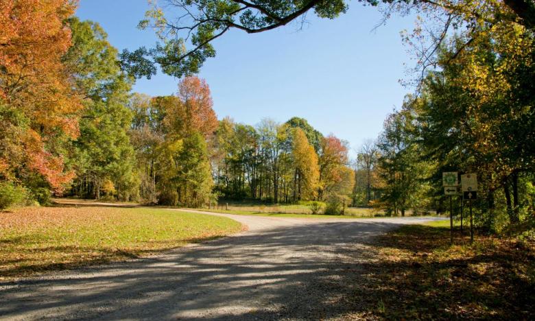 You can travel through the St. Francis National Forest on two different National Scenic Byways