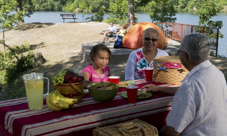 Have a family picnic alongside Bear Creek Lake during a visit to the St. Francis National Forest