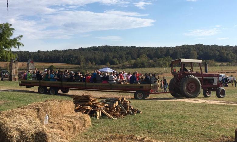 Farm fun awaits at the Jackson Farm