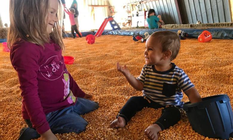 All the family will enjoy the Jackson Farm