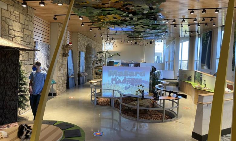 Interactive exhibits throughout the nature center