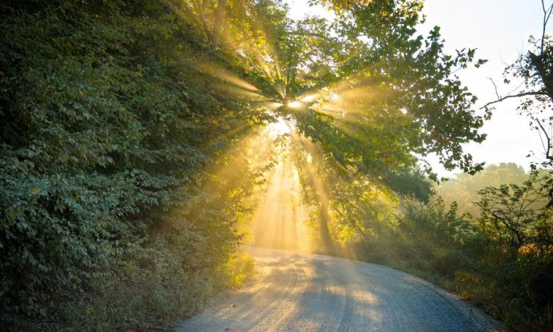 Arkansas's Great River Road National Scenic Byway/All-American Road runs through the St. Francis National Forest outside Marianna.
