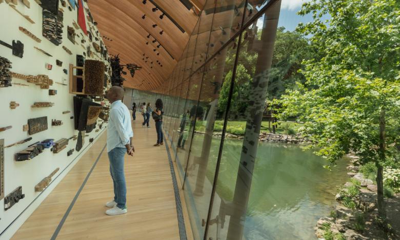Crystal Bridges offers five miles of walking and biking trails around the museum. In addition to enjoying the natural flora and fauna of the Ozark forest, visitors can also find over 30 sculptures along the trails to enjoy art against the backdrop of nature.