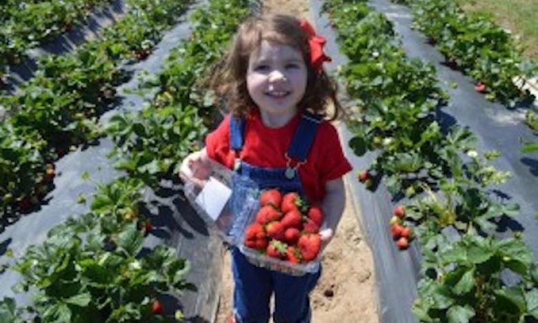 BoBrooke Farms