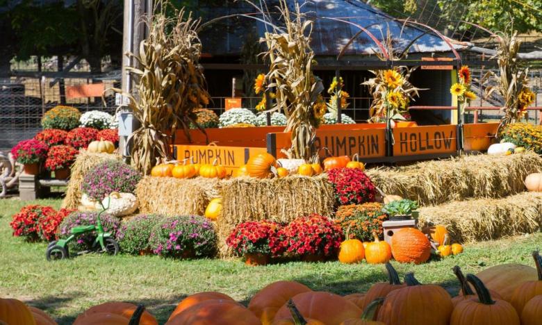 Pumpkin Hollow near Piggott is a great fall family trip.