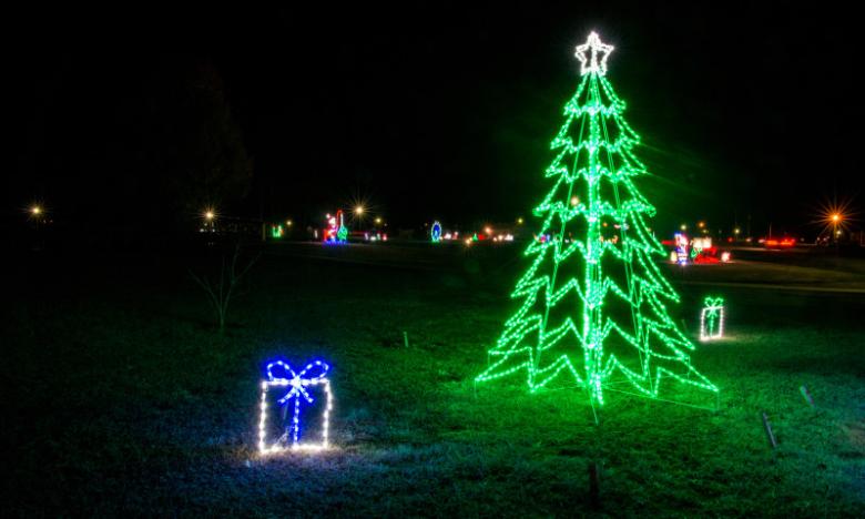 At Christmas at the Ridge, you'll find 250 beautiful LED light displays located throughout the 70-acre park. 