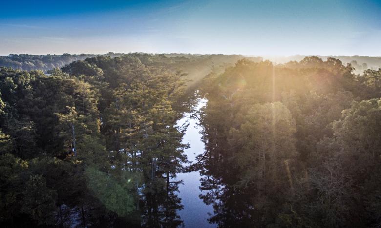 Bayou Bartholomew is the longest bayou in the world.