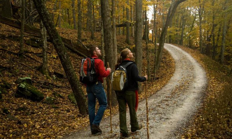 A couple hiking on a trail near Jasper