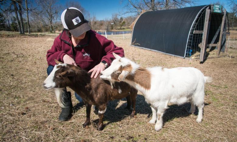 St. Joseph Center keeps many animals.