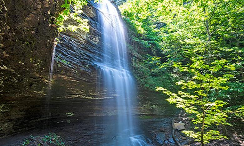 Cornelius Falls
