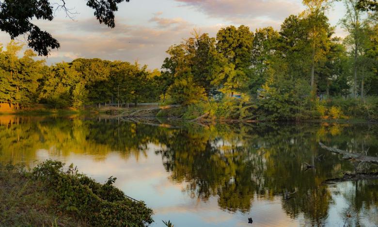 Bear Creek Lake is located within the Mississippi River State Park and the St. Francis National Forest.