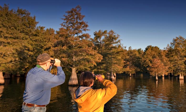 Birding at Lake Chicot State Park