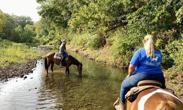 Horses drink from a stream during the trail ride.
