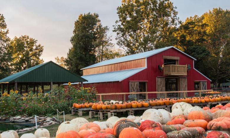 Pumpkin Hollow near Piggot celebrates their 30th season in 2022.