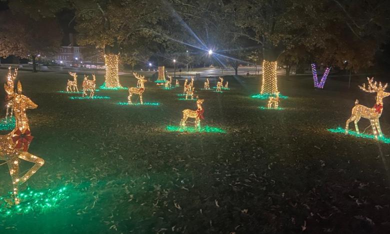 Coulter Celebration of Lights