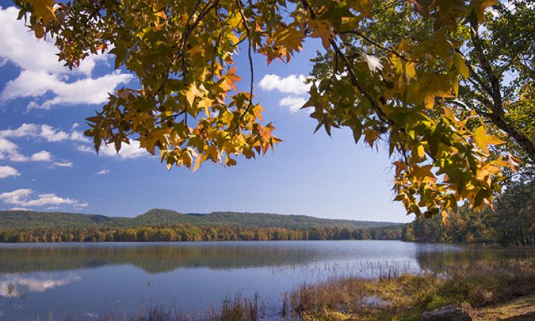 Cove Lake in the Fall