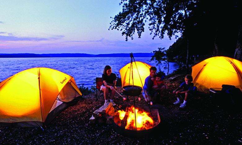 Lake Dardanelle State Park