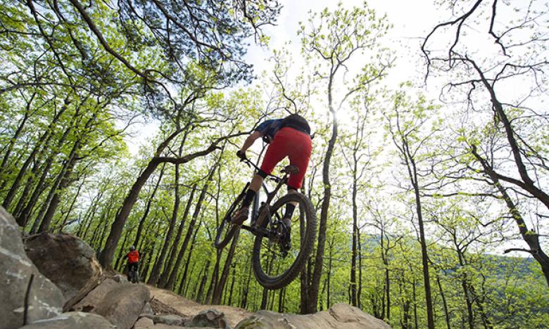 Mountain biking on Mount Nebo