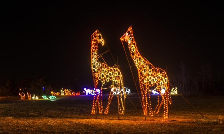 A trip to Lights of the Delta in Blytheville is sure to get everyone in the holiday spirit.