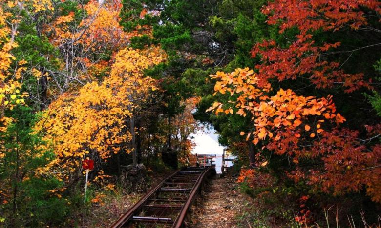 Ride the trolley through the trees and down to the dock at Three Oaks Resort.