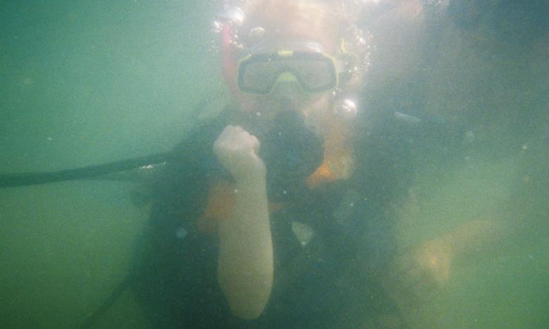 Scuba diving is great on this lake.