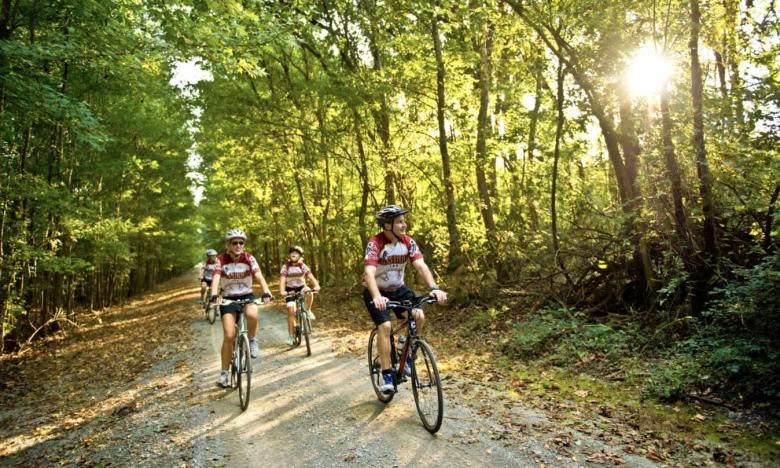 Visitors riding bikes on the Delta Heritage Trail.
