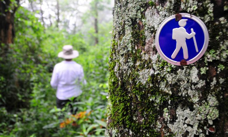A hiker on the trail at Queen Wilhelmina State Park.