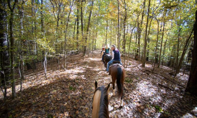 A group of visitors horseback riding at Village Creek State Park.