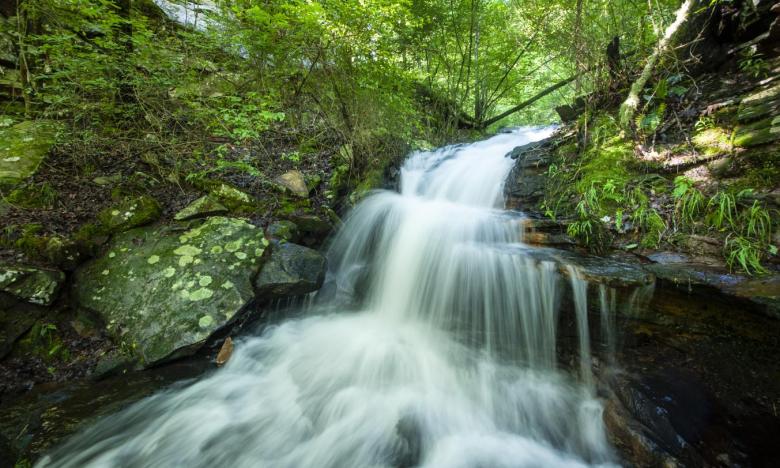 A waterfall on the Cedar Creek Self Guided Trail at Petit Jean State Park
