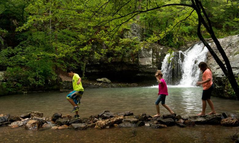 Learn why Arkansas is called The Natural State at Lake Catherine State Park.