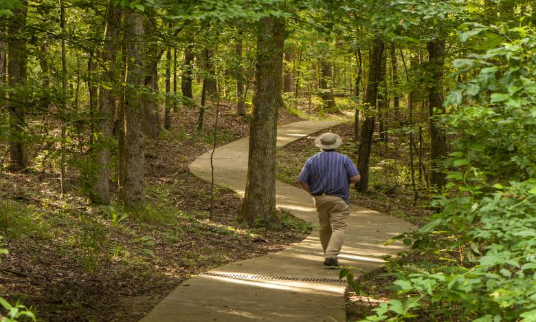 Take a stroll through wooded wetlands.