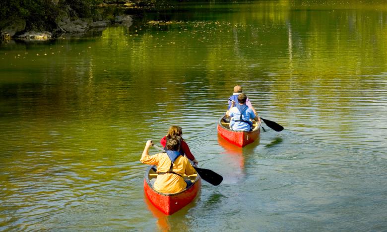 No equipment? No problem! Canoe and kayak rentals near Pocahontas will get you on the water in no time.