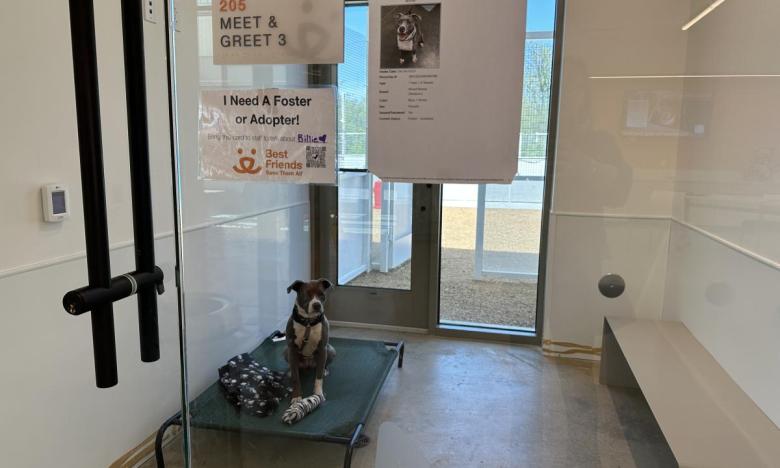 A Meet and Greet room at the center.